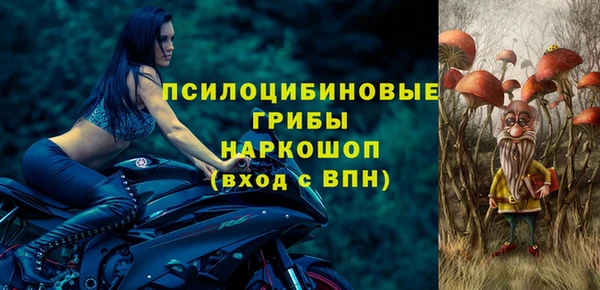 прущая мука Няндома