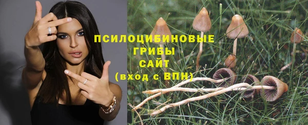 прущая мука Няндома