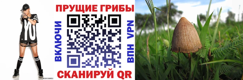 Галлюциногенные грибы ЛСД  наркошоп  Ленинградская 